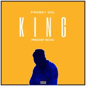 FireBoy DML - King